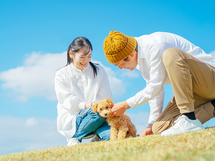 2連泊以上でペット料金無料プラン