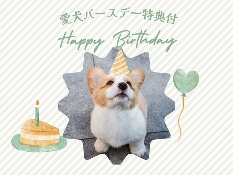 愛犬バースデー特典付きプラン